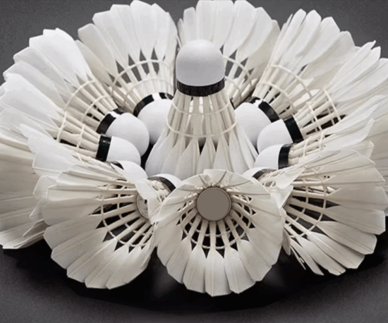 12-Pack Durable Duck Feather Badminton Shuttlecocks with Stable Flight