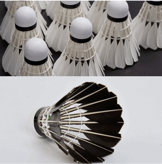 12-Pack Durable Duck Feather Badminton Shuttlecocks with Stable Flight
