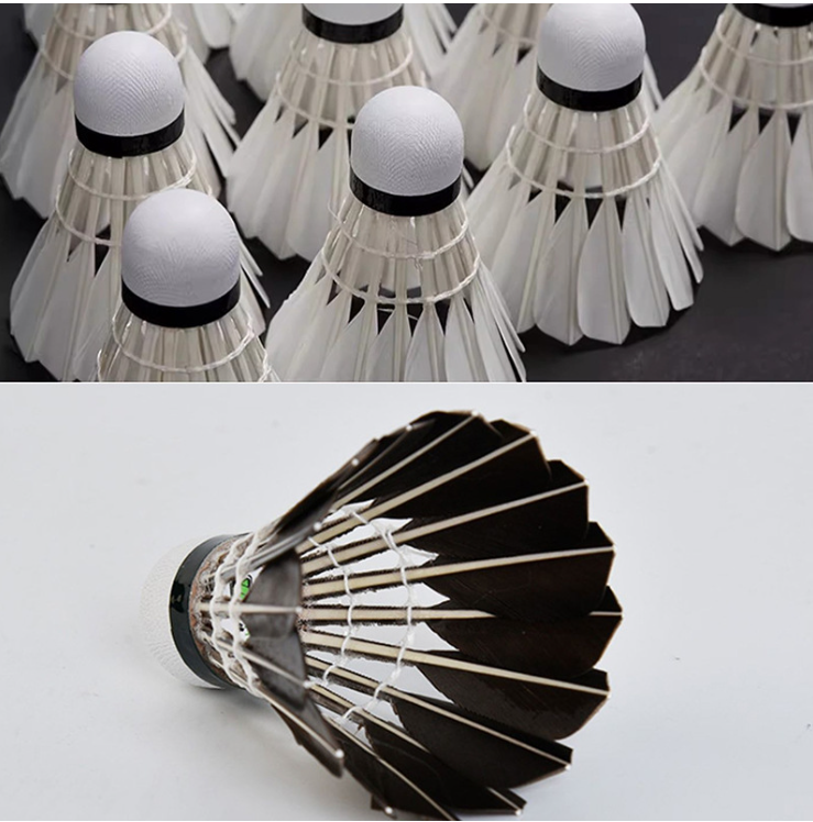 12-Pack Durable Duck Feather Badminton Shuttlecocks with Stable Flight