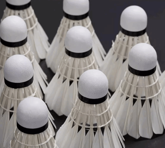 12-Pack Durable Duck Feather Badminton Shuttlecocks with Stable Flight