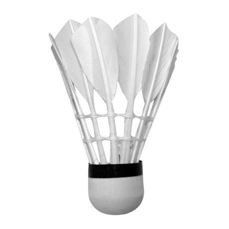 Beginner Training Duck Feather Badminton Shuttlecocks – 3-Pack Tube for Casual Use