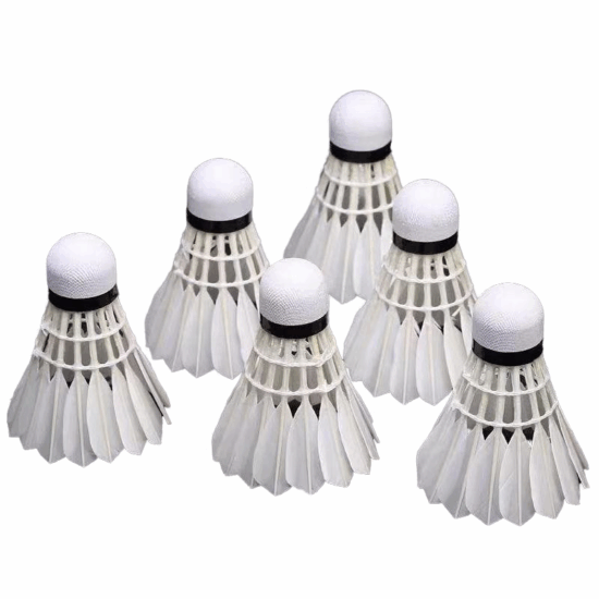 Aeroplane EG1130 goose feather shuttlecock for professional badminton