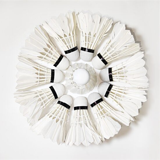Aeroplane EG1130 goose feather shuttlecock for professional badminton