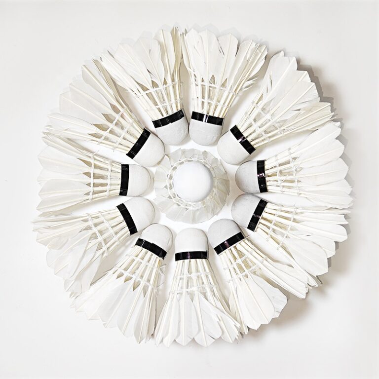 Aeroplane EG1130 goose feather shuttlecock for professional badminton