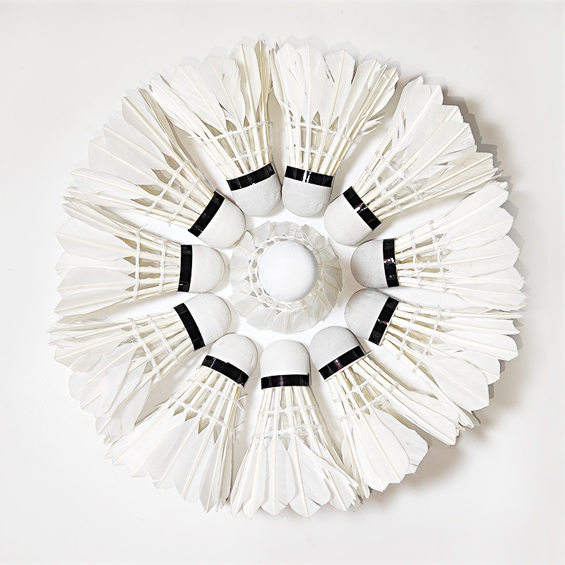 Aeroplane EG1130 goose feather shuttlecock for professional badminton