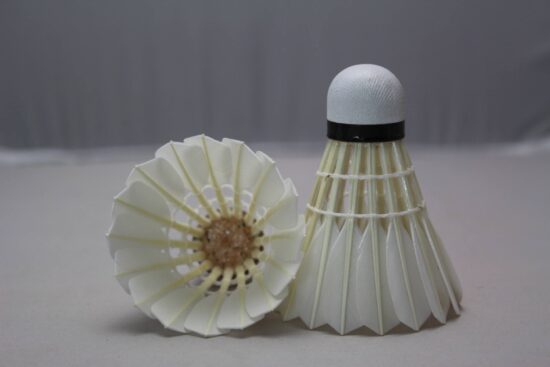 Custom Logo Shuttlecock Made with Duck and Goose Feathers