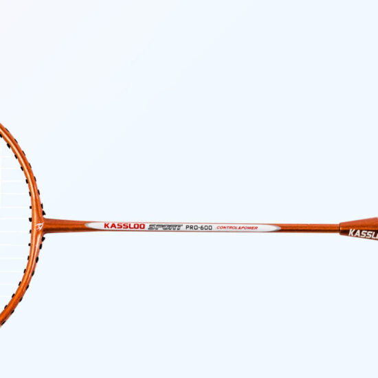 Colorful outdoor iron alloy badminton racket set with shuttlecocks