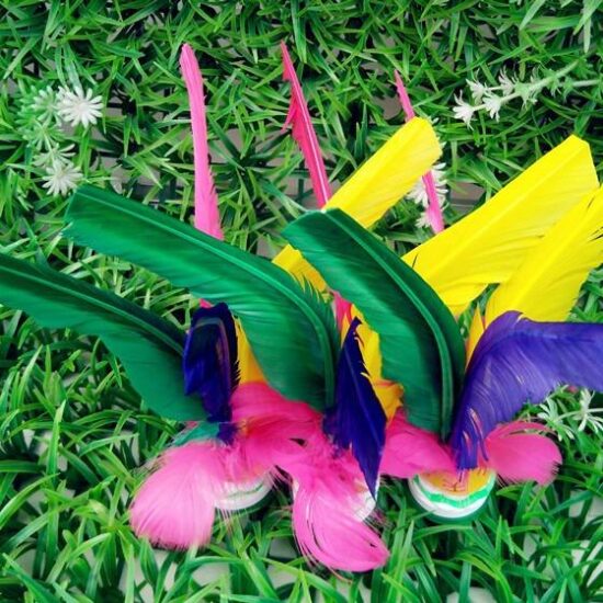 Colorful Goose Feather Kids' Shuttlecock with Silent Rubber Base

