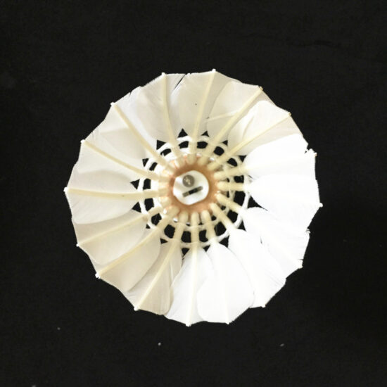 Custom Duck Goose Feather Shuttlecock with Logo – Class A Grade