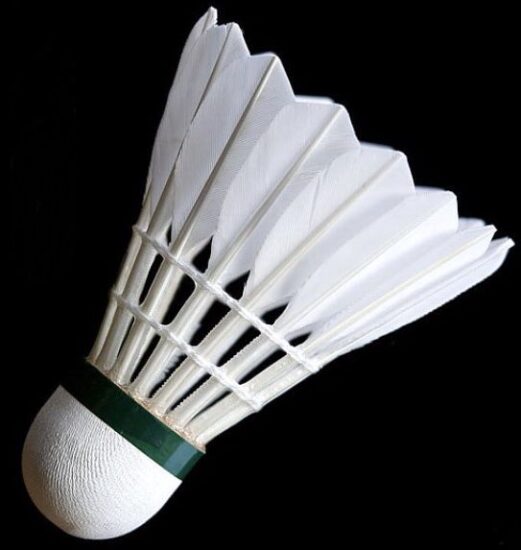 Custom Nylon Goose Feather Shuttlecock with Duck Cork and Sea Head