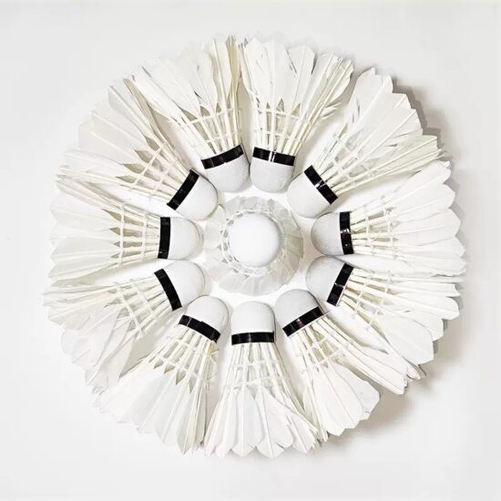  Professional Duck Feather Badminton Shuttlecock for Outdoor Competition