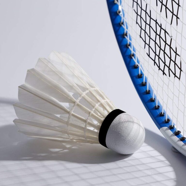 Professional Duck Feather Badminton Shuttlecock for Outdoor Competition