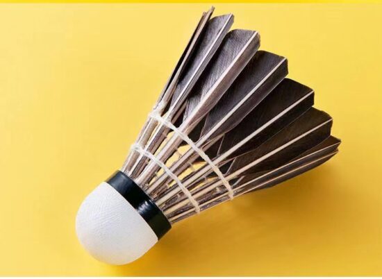 Durable Goose and Duck Feather Badminton Shuttlecocks for Training and Club Use
