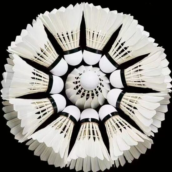 12pcs Durable Goose Feather Shuttlecocks for Kids and Adults


