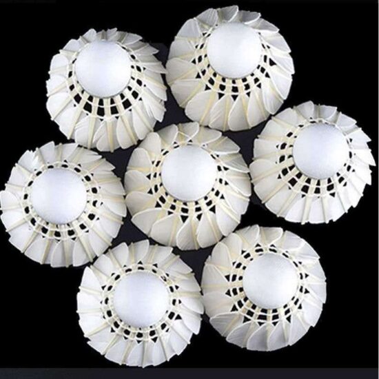 12pcs Durable Goose Feather Shuttlecocks for Kids and Adults

