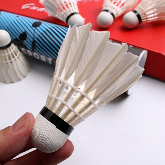 Curved feather durable badminton shuttlecocks for family and training

