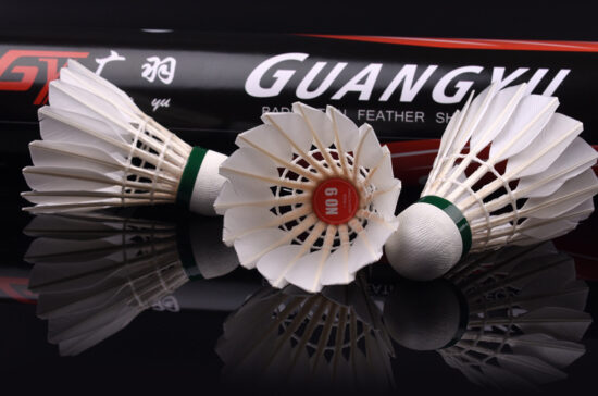 Guangyu No.9 goose feather shuttlecocks for professional training