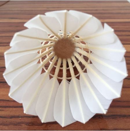 JNICE blank premium duck feather badminton shuttlecock for OEM training