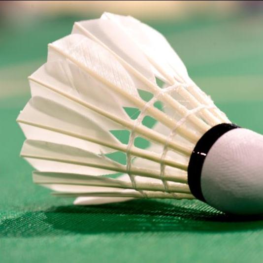 Medium speed goose feather badminton shuttlecock for training and matches
