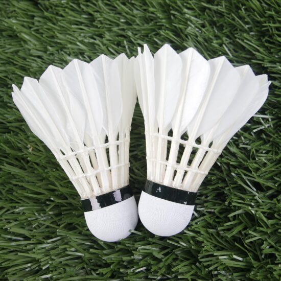 Medium speed goose feather badminton shuttlecock for training and matches