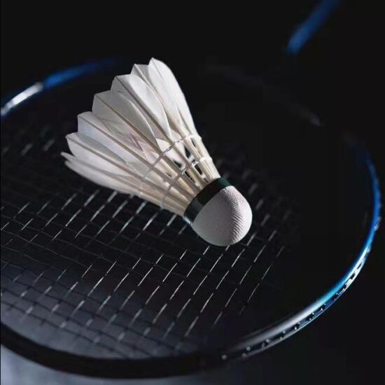 Medium speed goose feather badminton shuttlecock for training and matches