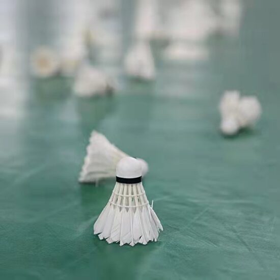 Medium speed goose feather badminton shuttlecock for training and matches