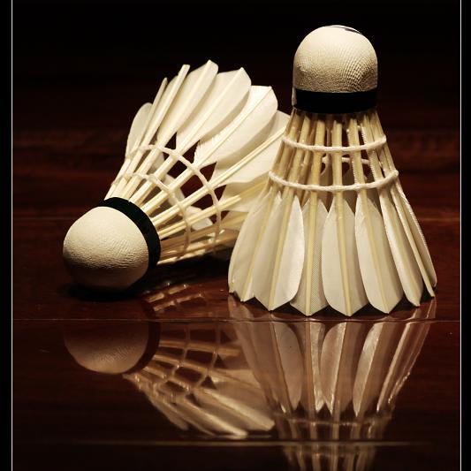 Medium speed goose feather badminton shuttlecock for training and matches