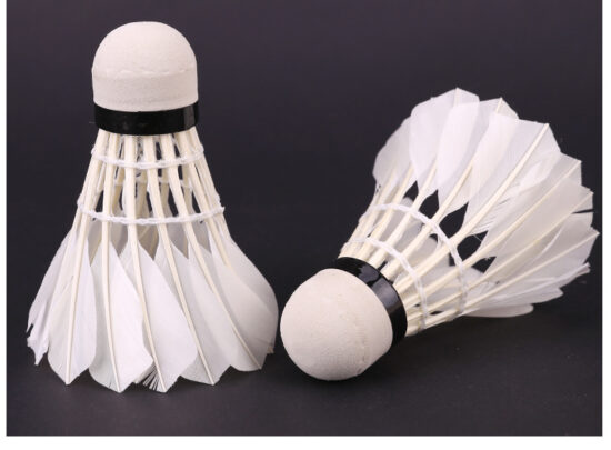 NAILI SA535 Goose Feather Badminton Shuttlecocks for Training