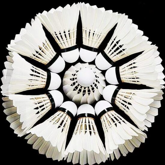 Outdoor Goose Feather Shuttlecocks 12pcs – Windproof & Durable for Match Play