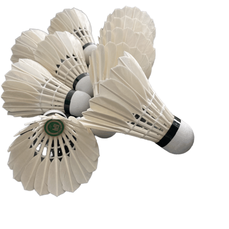 4-Pack Professional Goose Feather Badminton Shuttlecock for Tournament