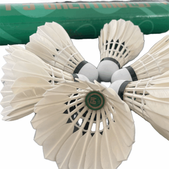 4-Pack Professional Goose Feather Badminton Shuttlecock for Tournament

