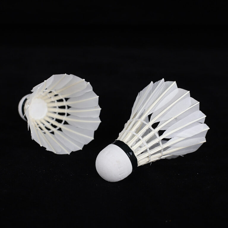 Regal 290 entry-level durable duck feather badminton shuttlecocks