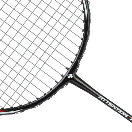 Rust-Proof Iron Badminton Racket with Nano-Tech Surface