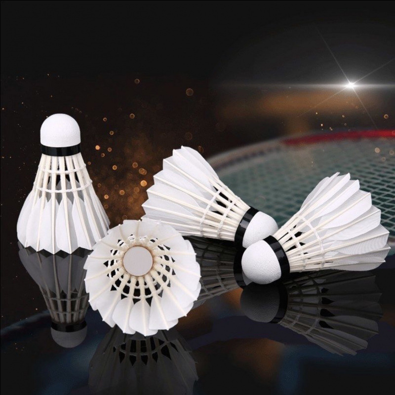 Stable Series Goose and Duck Feather Shuttlecocks for Outdoor Training