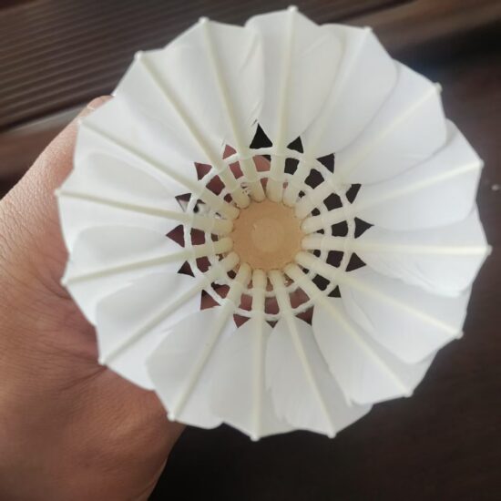 OEM Cigu Duck Feather Shuttlecock – Top Grade for Tournament Use