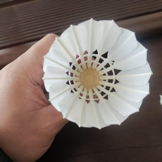 OEM Cigu Duck Feather Shuttlecock – Top Grade for Tournament Use