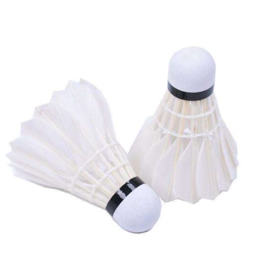 High-quality nylon feather badminton shuttlecock for training and tournaments