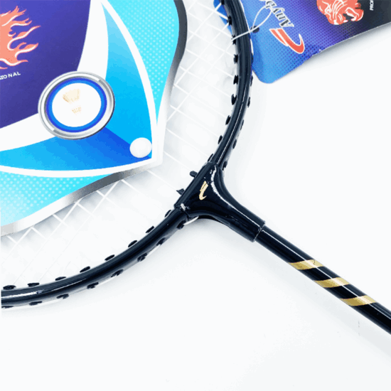 Wholesale Aluminum T Joint Badminton Racket Set with PVC Grip