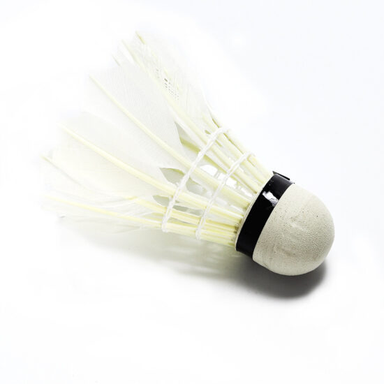 YANFEI Duck Feather Shuttlecocks with Foam Head for Training – 12pcs