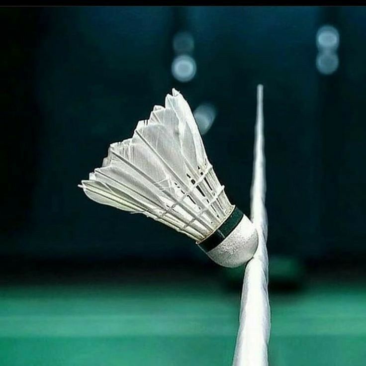 High quality badminton shuttlecocks with goose feather